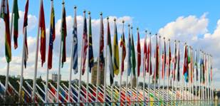 Council poised to expand_PB_banner_medium